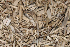 biomass boilers Tamnyrankin