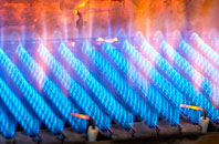 Tamnyrankin gas fired boilers